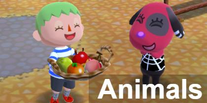 Sandy | Animal Crossing Pocket Camp - GameA