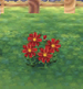 Red cosmos | Animal Crossing Pocket Camp - GameA